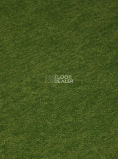 Haima Coral 30 фото 12 | FLOORDEALER